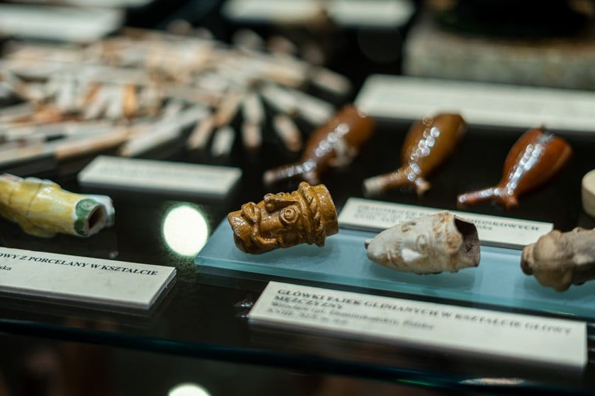 Wystawa Artificalia, naturalia, exotica w Muzeum Archeologicznym we Wrocławiu